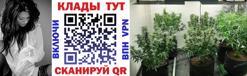 Виды наркотиков купить Кулебаки МЕТАДОН  hydra   Меф мяу мяу  Каннабис  ГАШ  СК 